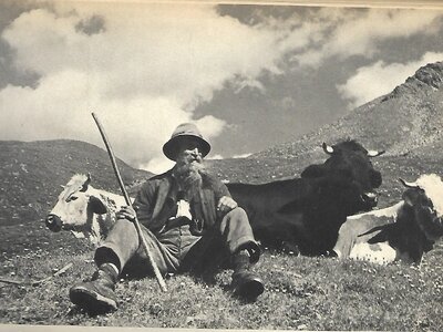 A man wearing a hat and coat seated in a mountainous landscape, surrounded by cattle and sheep. | © Atzenberger, 1941