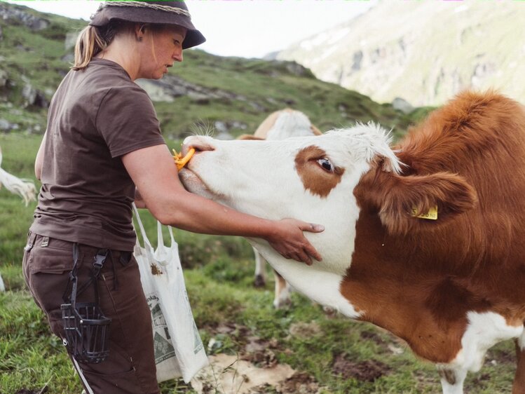 Hiker petting a cow in a mountainous, grassy landscape. | © Urlaub am Bauernhof / Daniel Gollner 