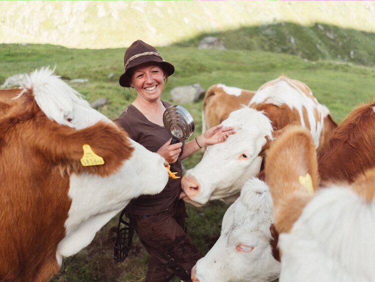 Smiling person in hat feeding and interacting with herd of cattle in lush green landscape.