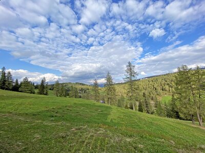 Grüne, mit Gräsern und Blumen bewachsene Wiesen, umgeben von Wäldern und blauem Himmel mit Wolken. Eine idyllische, bergige Landschaft. | © Urlaub am Bauernhof Kärnten / Jasmin Kreulitsch