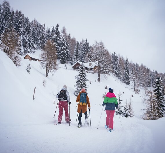 Drei Personen wandern mit Ski und Stöcken durch eine verschneite Berglandschaft voller hoher Tannen. Im Hintergrund sieht man einige Berghäuser. Die Szene vermittelt eine winterliche, idyllische Atmosphäre. | © Urlaub am Bauernhof Kärnten/ Daniel Gollner