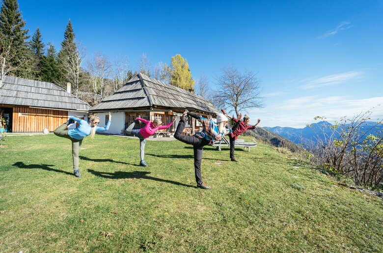 Mehrere Menschen in bunter Sportkleidung machen Yoga-Übungen auf einer Wiese vor einer hölzernen Berghütte mit Satteldach und bewaldeter Landschaft. | © Urlaub am Bauernhof Kärnten/ Daniel Gollner