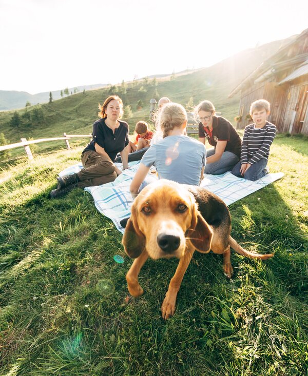 Group of people relaxing on picnic blanket in grassy meadow with a dog in the foreground, old wooden barn and mountains in the background. | © Urlaub am Bauernhof Kärnten / Daniel Gollner