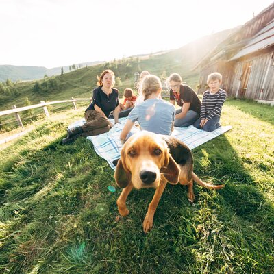 Group of people relaxing on picnic blanket in grassy meadow with a dog in the foreground, old wooden barn and mountains in the background. | © Urlaub am Bauernhof Kärnten / Daniel Gollner