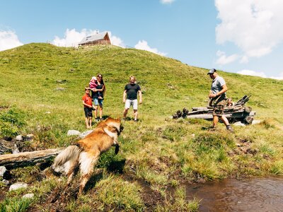 Wooden cabin on grassy hill, people hiking and relaxing by stream, dog in foreground, scenic mountain landscape. | © Urlaub am Bauernhof Kärnten / Daniel Gollner