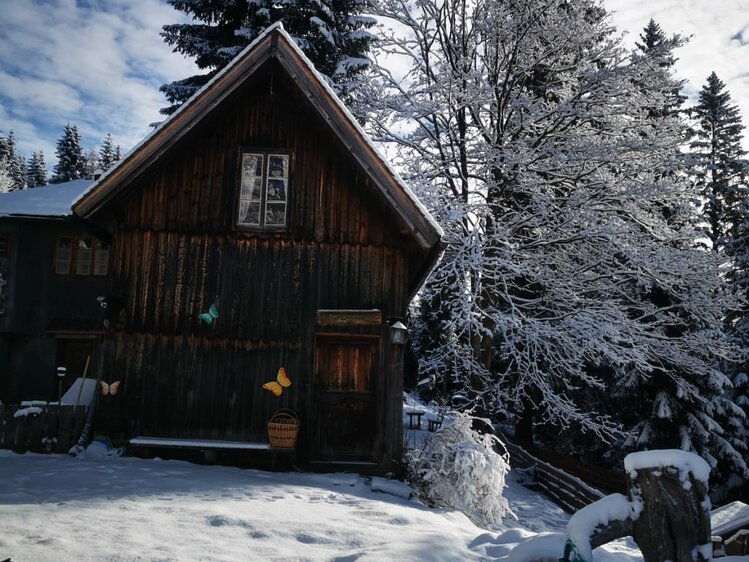 Ein winterliches Holzhaus umgeben von verschneiten Bäumen und bedeckter Landschaft. Das Haus wirkt rustikal und gemütlich, abseits des städtischen Trubels. | © Urlaub am Bauernhof / Schell