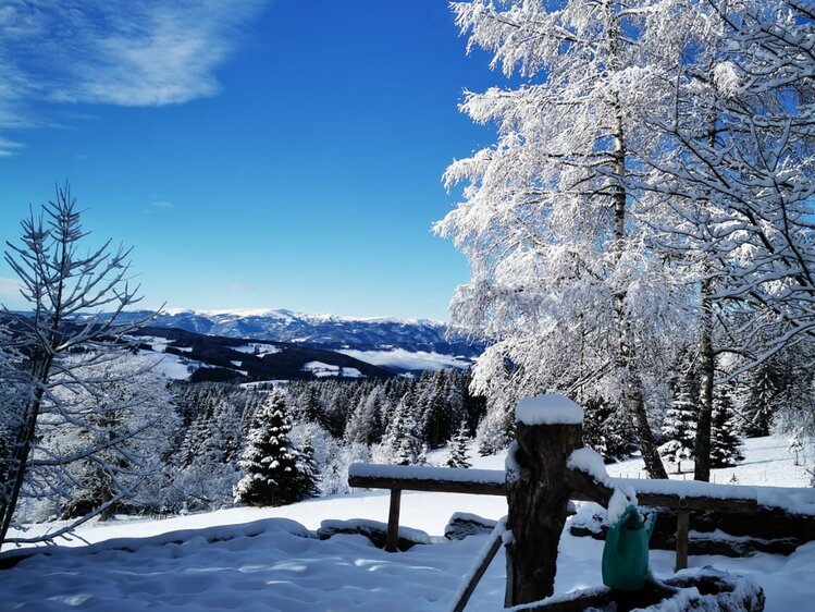 Verschneiter Hügel mit hohen verschneiten Bäumen, in der Ferne ein Bergpanorama. Ein hölzerner Wegweiser ragt aus dem Schnee heraus. Eine friedliche winterliche Landschaft mit klarem Himmel. | © Urlaub am Bauernhof / Schell