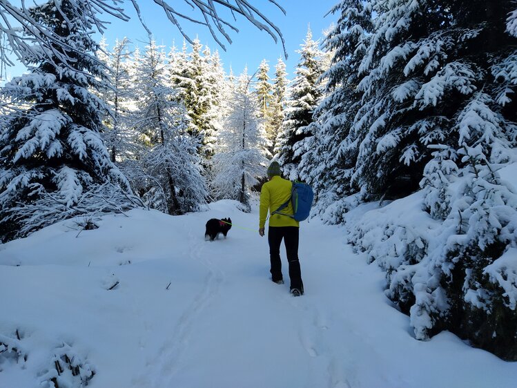 Snowy forest path with person wearing yellow jacket and backpack walking alongside a dog in the wintry landscape. | © Urlaub am Bauernhof in Kärnten / Kopp