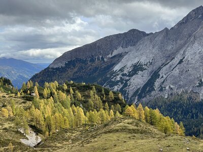 Wanderung | © Urlaub auf der Alm / Julia Winkler Eine faszinierende Gebirgslandschaft mit schneebedeckten Gipfeln, umgeben von herbstlich gefärbten Laubbäumen und grünen Wiesen. Die Szenerie schafft einen stimmungsvollen Kontrast zwischen der beeindruckenden Bergkulisse und der malerischen Waldlandschaft. | © Urlaub auf der Alm / Julia Winkler