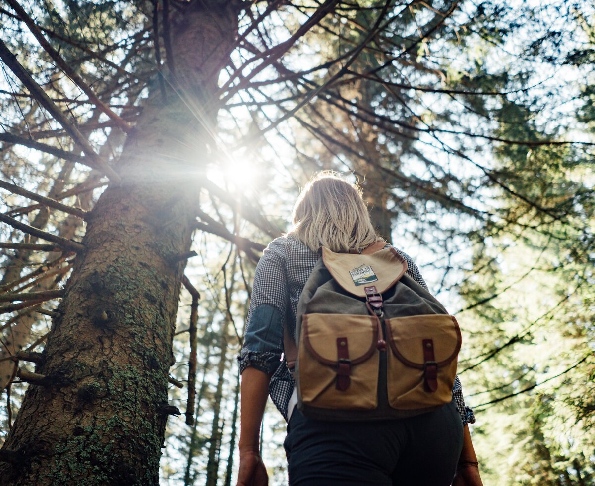 Im Wald unterwegs | © Urlaub am Bauernhof Steiermark / Daniel Gollner Eine Person mit Rucksack steht zwischen Bäumen und Sonnenstrahlen durchbrechen den Wald, eine friedliche Szene in der Natur. | © Urlaub am Bauernhof Steiermark / Daniel Gollner
