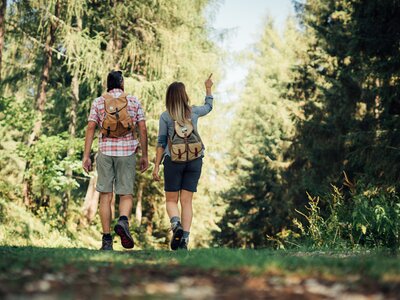 Unterwegs im Wald | © Urlaub am Bauernhof Steiermark / Daniel Gollner Paar wandert im Wald | © Urlaub am Bauernhof Steiermark / Daniel Gollner