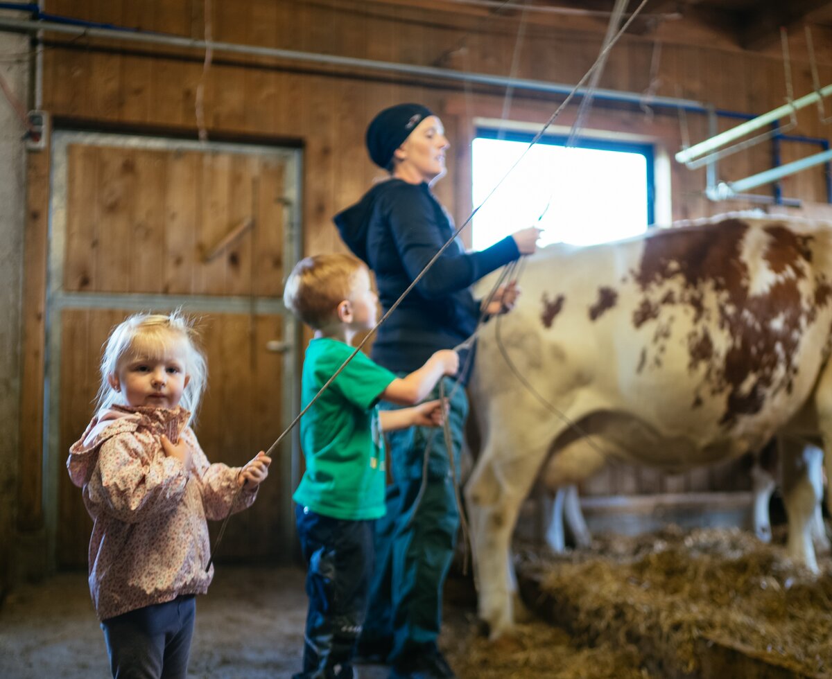 Kinder helfen im Stall | © Urlaub am Bauernhof Tirol / Daniel Gollner Kinder helfen im Kuhstall | © Urlaub am Bauernhof Tirol / Daniel Gollner