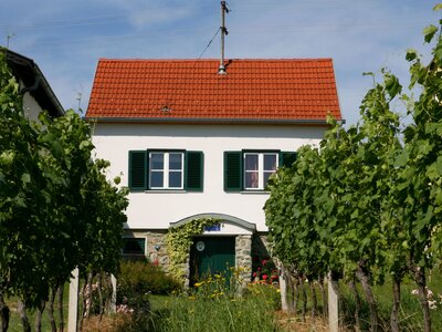 Kellerstöckl Mittl im Südburgenland | © Familie Mittl