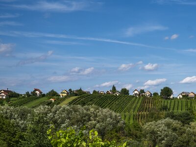 Weinidylle im Südburgenland | © Burgenland Tourismus GmbH / Birgit Machtinger Weinidylle im Südburgenland | © Burgenland Tourismus GmbH / Birgit Machtinger