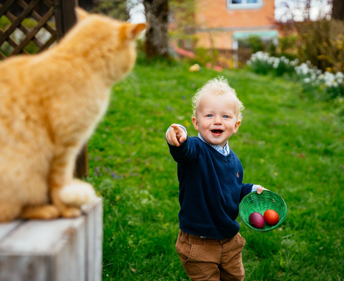 Bub zeigt auf Katze | © Urlaub am Bauernhof / Daniel Gollner Kleiner Bub zeigt auf eine Katze mit Osterei in der Hand | © Urlaub am Bauernhof / Daniel Gollner