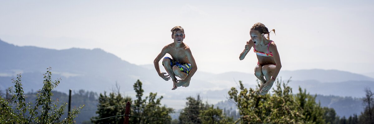 Kinder springen in den Pool in Kärnten  | © Urlaub am Bauernhof Kärnten / Tom Lamm