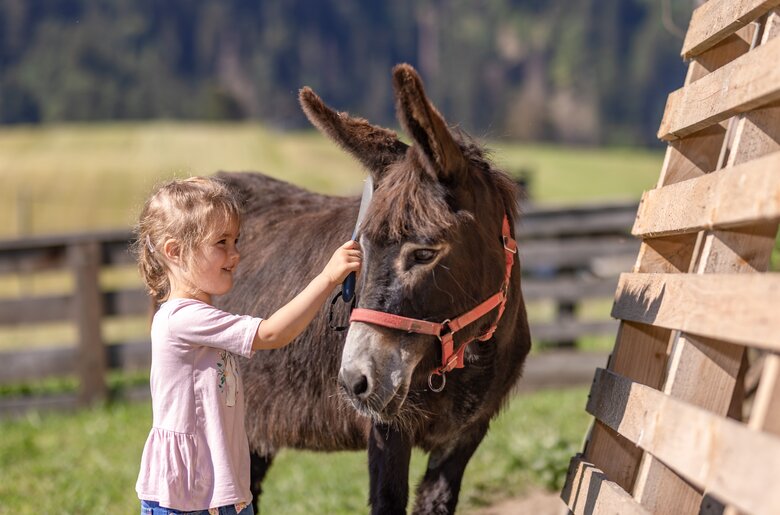 Mädchen und der Esel am Bauernhof Gruber | © Urlaub am Bauernhof Kärnten/ Achim Mandler Mädchen striegelt den Esel | © Urlaub am Bauernhof Kärnten/ Achim Mandler