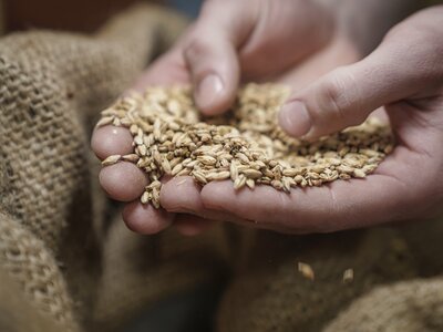 Hirter 5 Säulen (Handwerk) | © Privatbrauerei Hirt