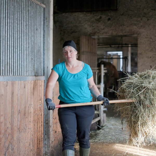 A woman in a barn carrying hay on a straw rack. She is wearing a blue T-shirt, black pants, and gloves.