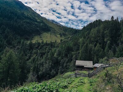Hütte | © Urlaub am Bauernhof Kärnten / Landgut Moserhof Hütte mit Landschaft | © Urlaub am Bauernhof Kärnten / Landgut Moserhof
