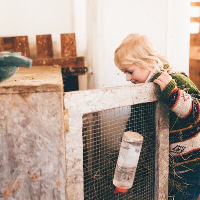 Mädchen öffnet die Stalltüre vom Hasenstall | © Urlaub am Bauernhof Kärnten/ Daniel Gollner