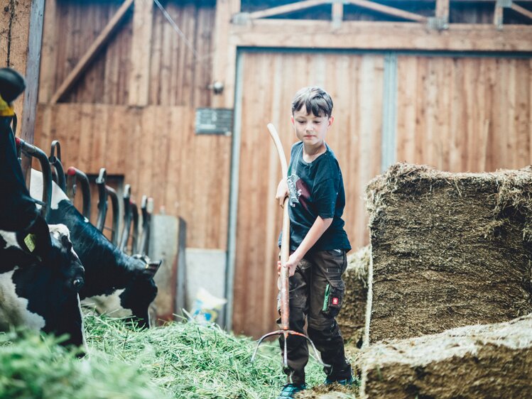 Bub mit Mistgabel bei Stallarbeit | © Urlaub am Bauernhof Kärnten/ Daniel Gollner