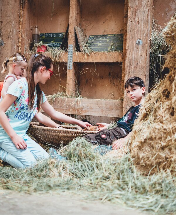 Kinder sitzen im Heu | © Urlaub am Bauernhof Kärnten/ Daniel Gollner