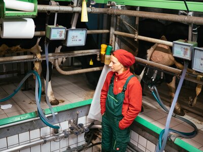 "Ich war neu, die Gäste waren neu, alles war neu" | © Urlaub am Bauernhof Kärnten / Daniel Gollner Frau steht im Melkstand | © Urlaub am Bauernhof Kärnten / Daniel Gollner
