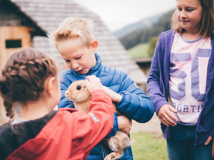 Kinder streicheln den Hasen | © Urlaub am Bauernhof Kärnten / Daniel Gollner