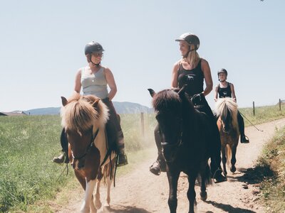Ausritt am Weg | © Urlaub am Bauernhof Kärnten / Daniel Gollner