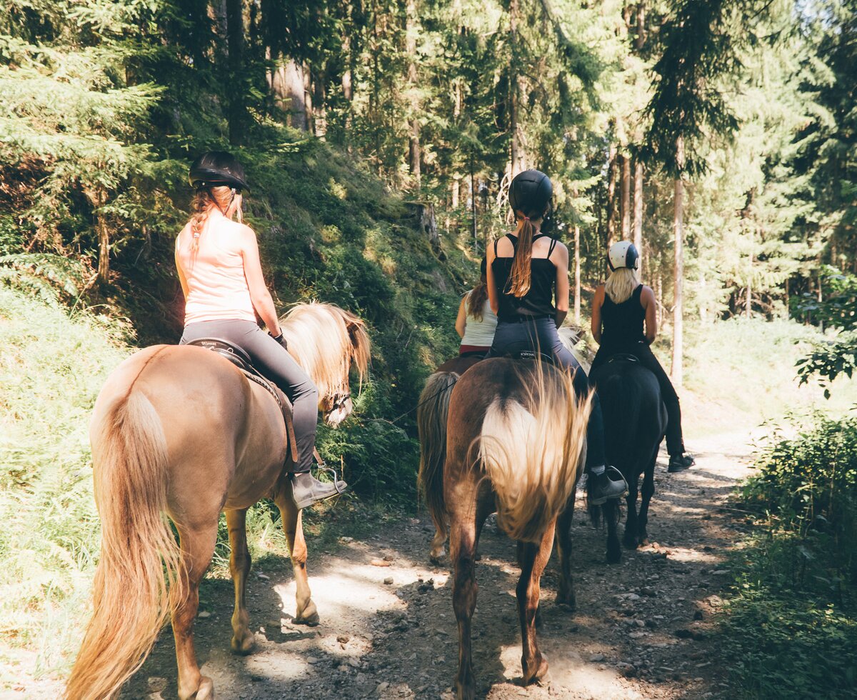 Ausritt | © Urlaub am Bauernhof Kärnten / Daniel Gollner Ausritt im Wald | © Urlaub am Bauernhof Kärnten / Daniel Gollner