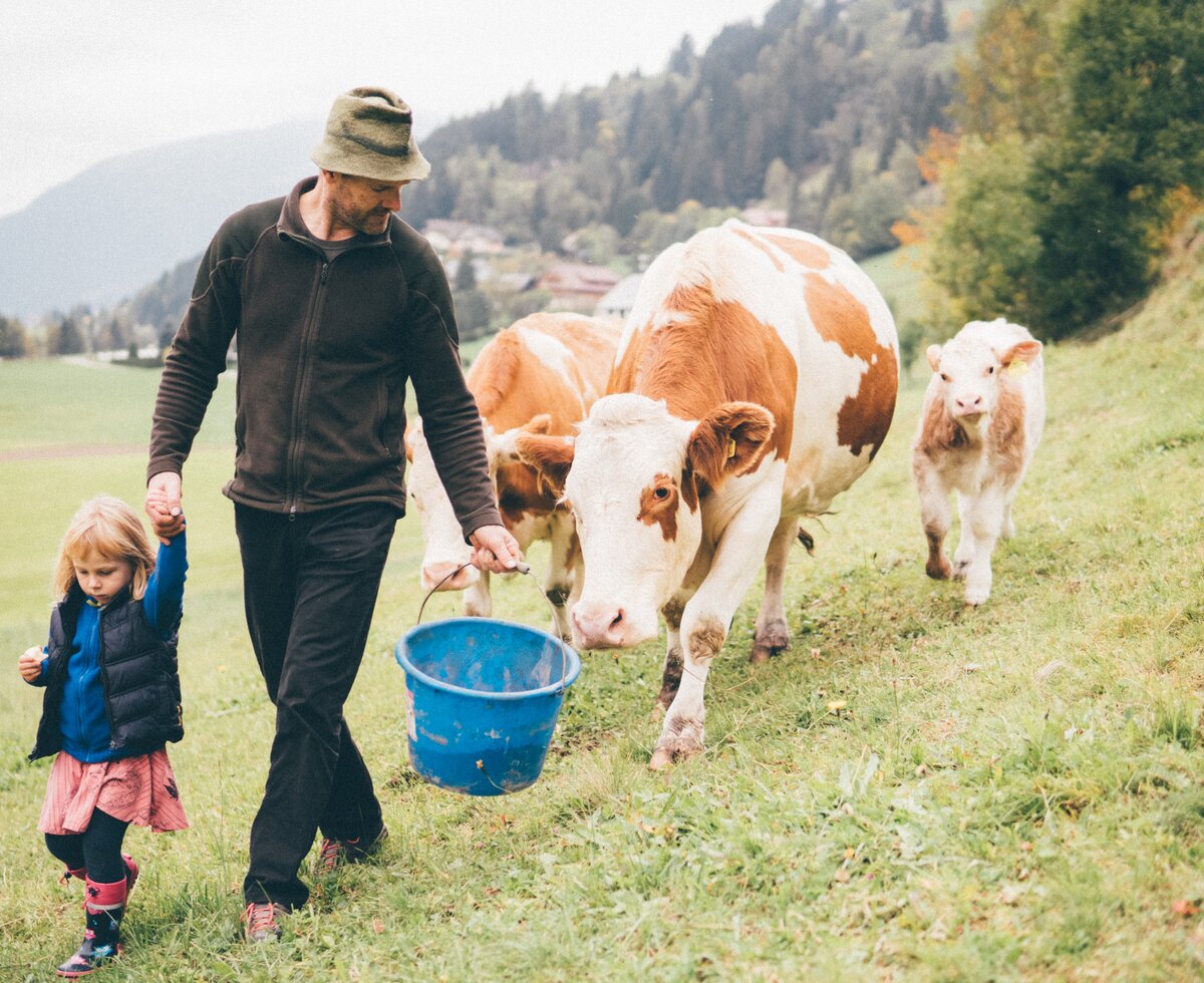 Bauer und Mädchen mit den Kühen | © Urlaub am Bauernhof Kärnten / Daniel Gollner Bauer und Mädchen gehen mit den Kühen auf der Wiese | © Urlaub am Bauernhof Kärnten / Daniel Gollner