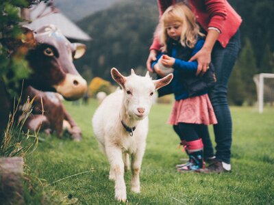 Mädchen und Frau bei der Ziege | © Urlaub am Bauernhof Kärnten / Daniel Gollner
