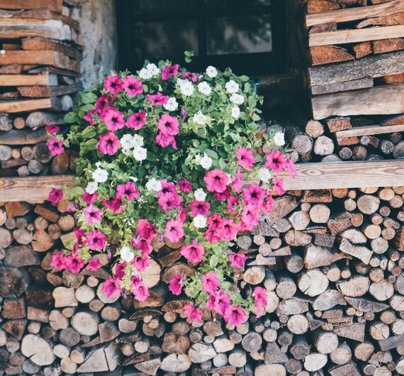Blumen bei der Holztriste | © Urlaub am Bauernhof Kärnten / Daniel Gollner