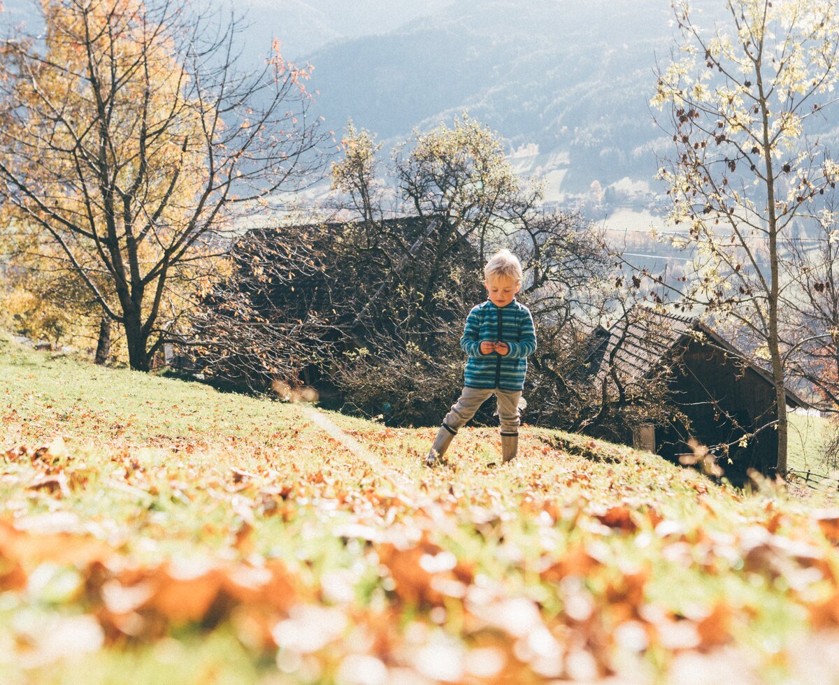 Bub im Laub | © Urlaub am Bauernhof Kärnten / Daniel Gollner Bub steht im Laub | © Urlaub am Bauernhof Kärnten / Daniel Gollner