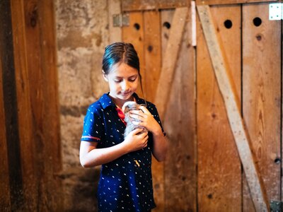 Mädchen mit dem Hasen | © Urlaub am Bauernhof Kärnten / Daniel Gollner Mädchen halt den Hasen in der Hand | © Urlaub am Bauernhof Kärnten / Daniel Gollner