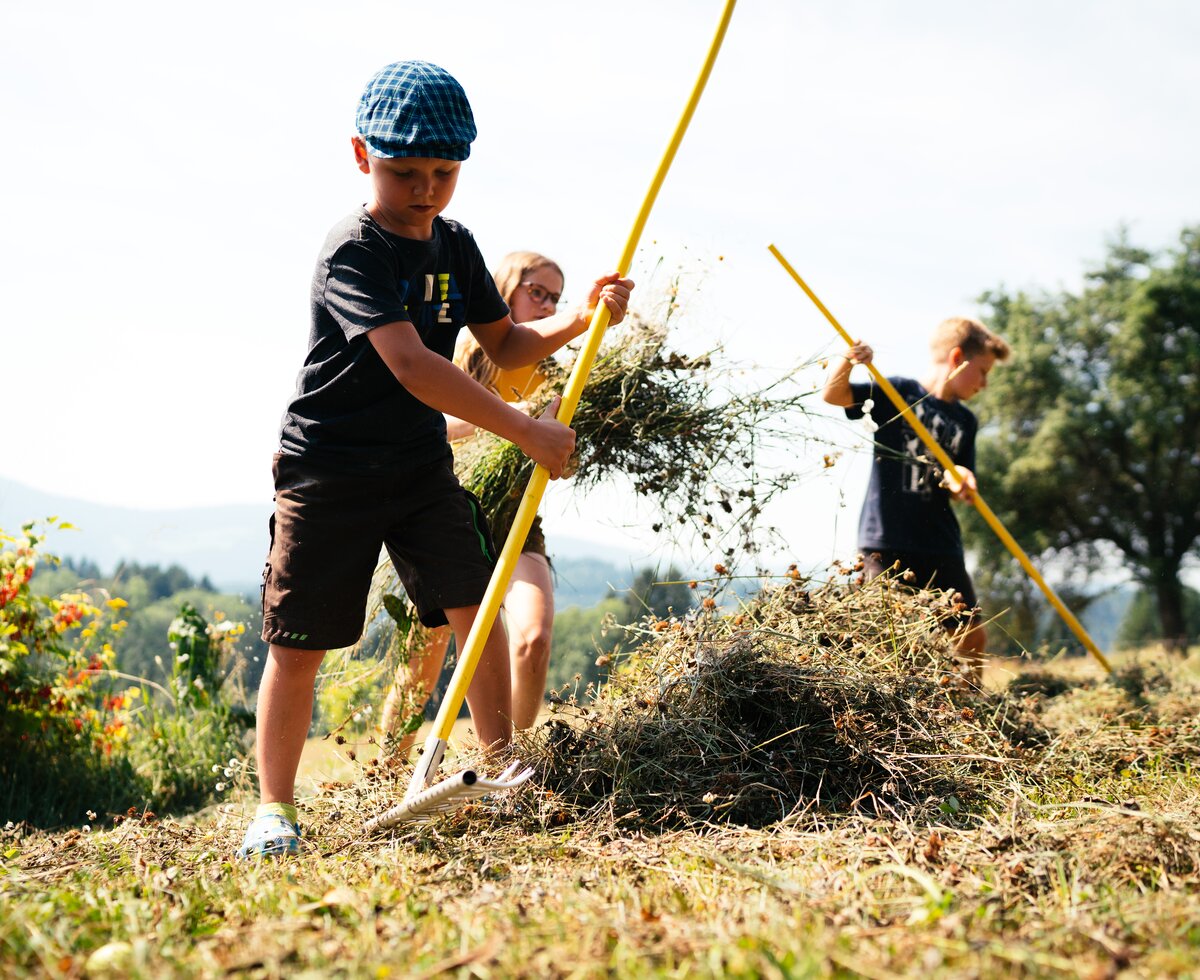 Kinder auf der Wiese | © Urlaub am Bauernhof Kärnten/ Daniel Gollner Kinder machen Heu auf der Wiese | © Urlaub am Bauernhof Kärnten/ Daniel Gollner