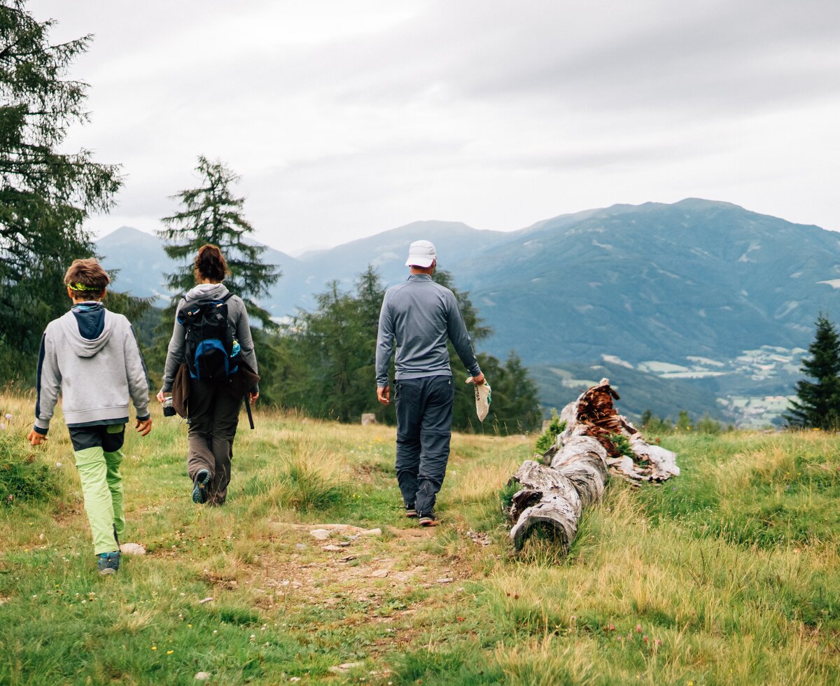 Familie am Almweg | © Urlaub am Bauernhof Kärnten/ Daniel Gollner Familie geht am Almweg | © Urlaub am Bauernhof Kärnten/ Daniel Gollner