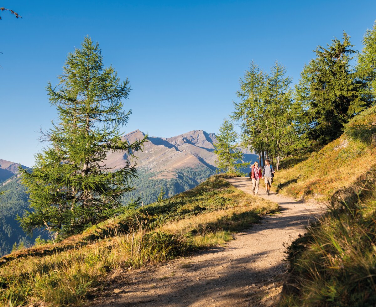 Wandern in der Region Katschberg Lieser-Maltatal | © Rubert Mühlbacher / Tourismusregion Katschberg Lieser-Maltatal Familie wandert auf der Alm im Lieser-Maltatal mit Blick auf die Berge | © Rubert Mühlbacher / Tourismusregion Katschberg Lieser-Maltatal