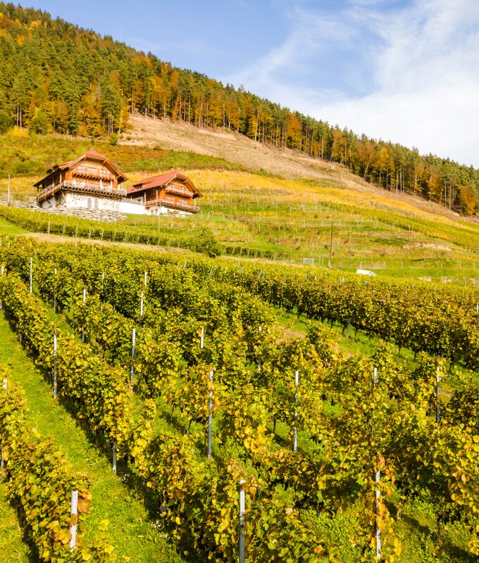 Weingut Karnburg | © Michael Stabentheiner/ Tourismusregion Mittelkärnten
