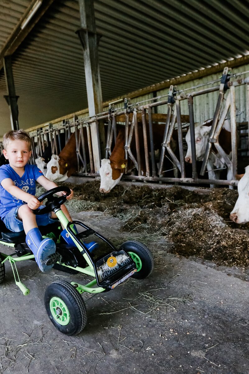 Bub mit Trettraktor im Stall | © Niederösterreich Werbung / schwarz-koenig.at