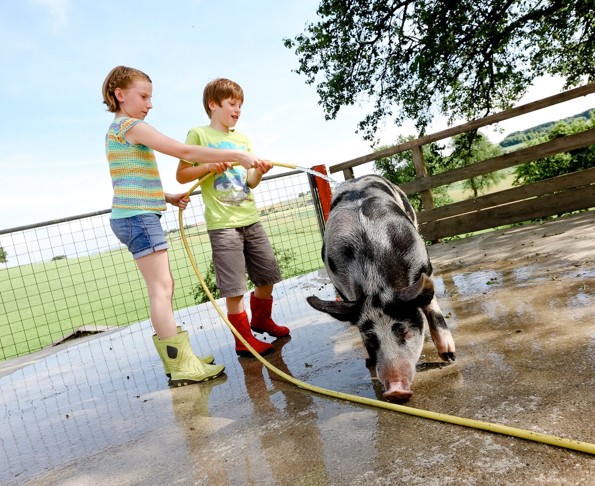 Two children wash a pig | © Niederösterreich Werbung / schwarz-koenig.at Two children wash a pig with a garden hose | © Niederösterreich Werbung / schwarz-koenig.at