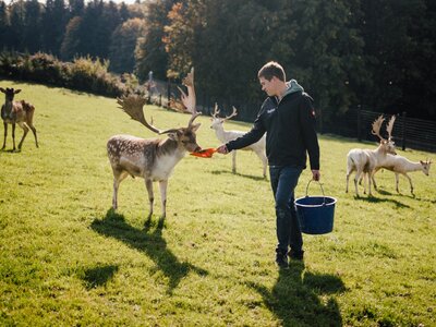 Fütterung Wildtiere | © Matthias Distelberger - Die Hochrieß