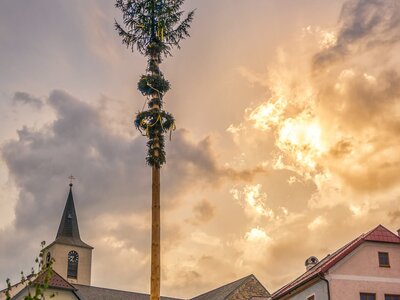 Maibaum in Bad Traunstein | © Markus Bachl - www.markusbachl.com Maibaum in Bad Traunstein | © Markus Bachl - www.markusbachl.com
