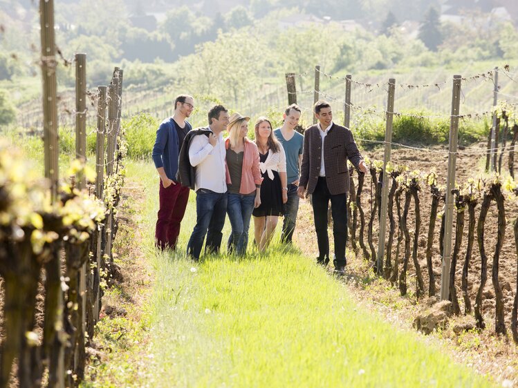 People standing in the vineyard  | © Weinviertel Tourismus / Astrid Bartl