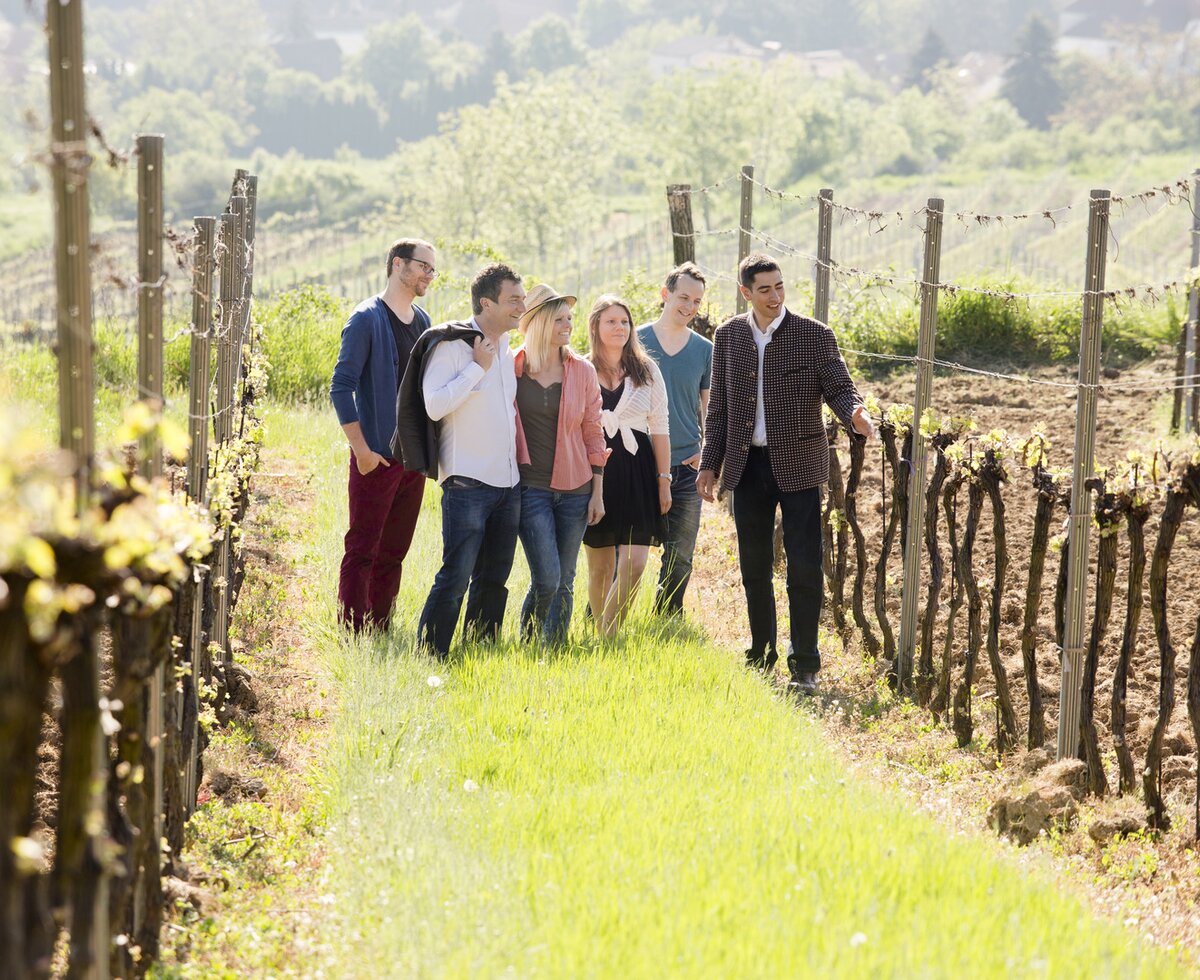 In de grean gehn im Weinviertel | © Weinviertel Tourismus / Astrid Bartl Leute stehen im Weingarten | © Weinviertel Tourismus / Astrid Bartl