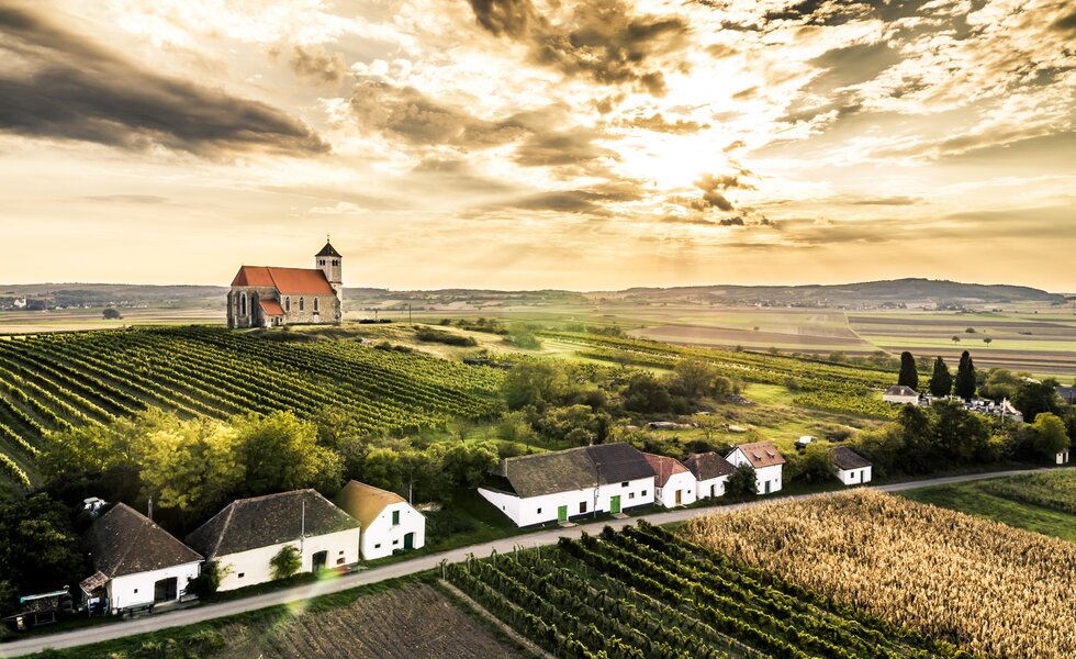 Kellergasse Wartberg im Weinviertel | © Weinviertel Tourismus / Herbst