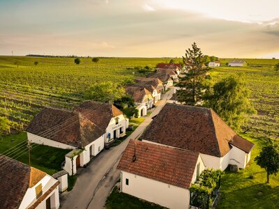 Kellergasse Zellerndorf im Weinviertel | © Weinviertel Tourismus / Herbst Luftaufnahme Kellergasse in Zellerndorf im Weinviertel | © Weinviertel Tourismus / Herbst