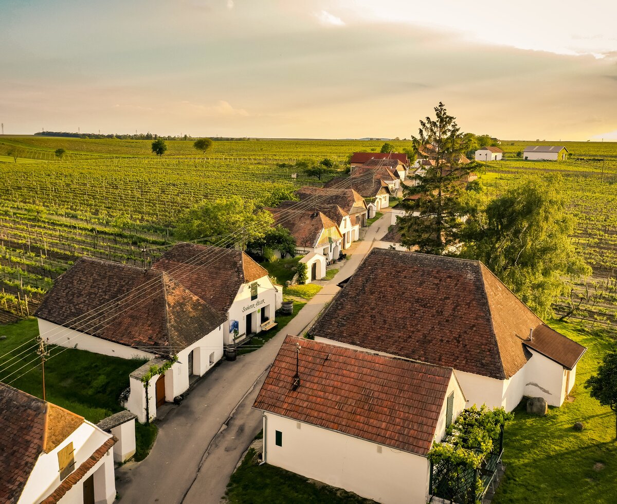 Kellergasse Zellerndorf im Weinviertel | © Weinviertel Tourismus / Herbst Luftaufnahme Kellergasse in Zellerndorf im Weinviertel | © Weinviertel Tourismus / Herbst