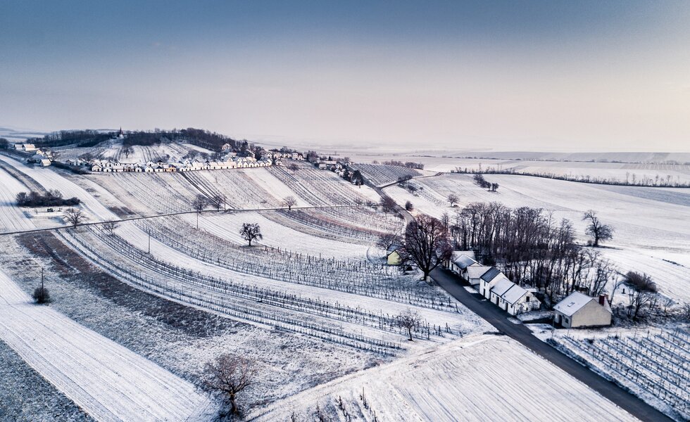 Luftaufnahme Kellergasse Wildendürnbach | © Niederösterreich Werbung / Robert Herbst